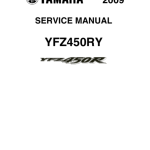 2009  Manual