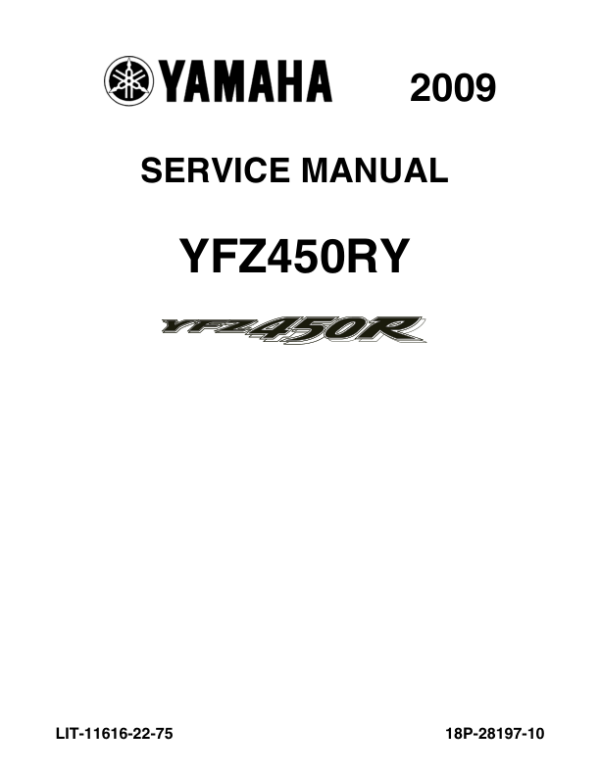 2009  Manual