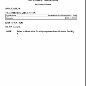 2002 AUTO TRANSMISSION Manual