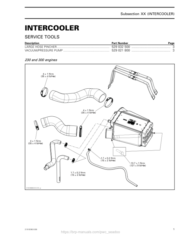 Intercooler GTX RXT Wake PRO Manual