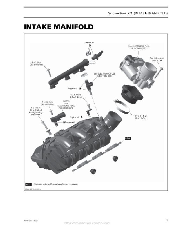 Rotax MY19 (M 3) Intake Manifold RTXM 3 MY19 001 en Manual