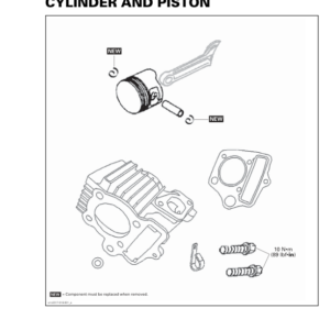 ATV Cylinder and Piston (Mini DS) Shop vmr2017 016 Manual