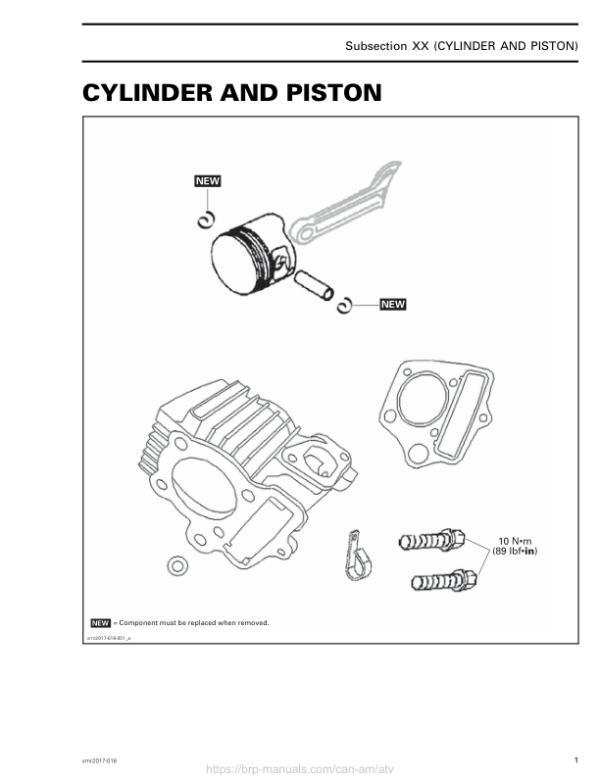 ATV Cylinder and Piston (Mini DS) Shop vmr2017 016 Manual