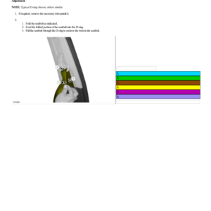 Seatbelt Twisted at the Seatbelt Guide G2219507 Manual