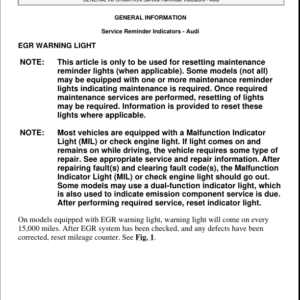 MAINTENANCE LIGHT RESET Manual