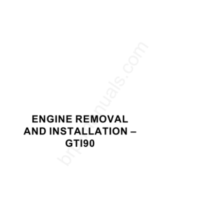 Engine Removal and Installation 900 ACE Manual