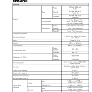 SSV 2021 Technical Specification (engine) Repair RTX21 903SSV 009 en Manual