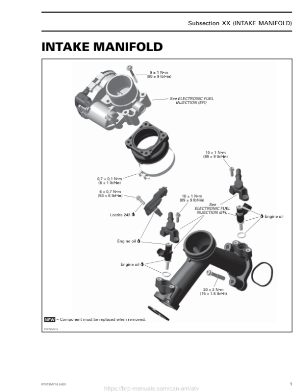 Rotax 2018 (T3 new Regulation) Intake Manifold RTXT3MY18.5 001 Manual