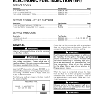 ELECTRONIC FUEL INJECTION (EFI) (1630ACE PWC) Manual