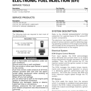 SSV 2019 Electronic Fuel Injection (EFI) Commander Shop Supp 219100965 024 Manual