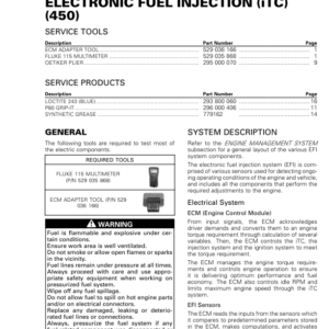 Rotax MY19 Electronic Fuel Injection (EFI) (450 iTC ATV) RTX19 450ETC 011 en Manual