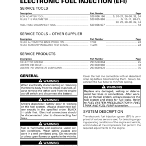 Rotax SSV (EFI) 903 suppl. RTXCARBSSV 011 en Manual