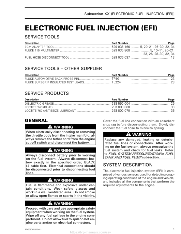 Rotax SSV (EFI) 903 suppl. RTXCARBSSV 011 en Manual