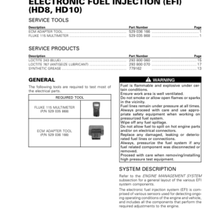 SSV 2019 Electronic Fuel Injection (EFI) (HD8, HD10) 219100967 022 Manual