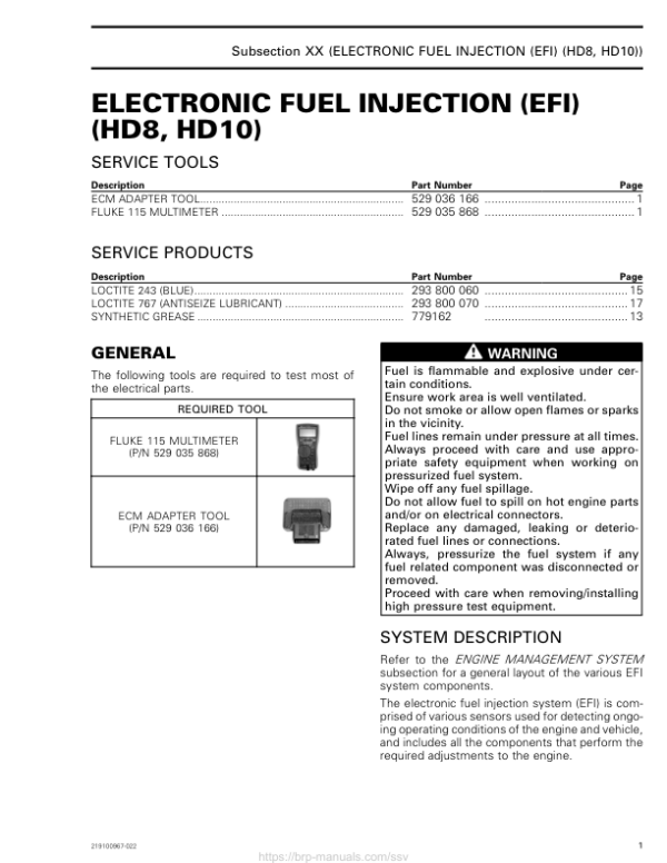 SSV 2019 Electronic Fuel Injection (EFI) (HD8, HD10) 219100967 022 Manual