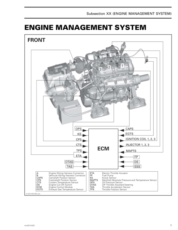 Engine Management System Manual