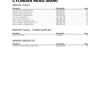 SSV 2019 Cylinder Head (800R) Commander Shop Supp 219100965 016 Manual