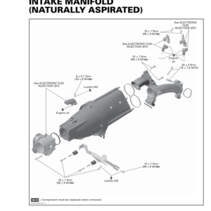 SSV Intake Manifold (Naturally Aspirated) (Maverick) shop tmr2016 205 Manual