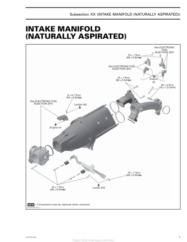 SSV Intake Manifold (Naturally Aspirated) (Maverick) shop tmr2016 205 Manual