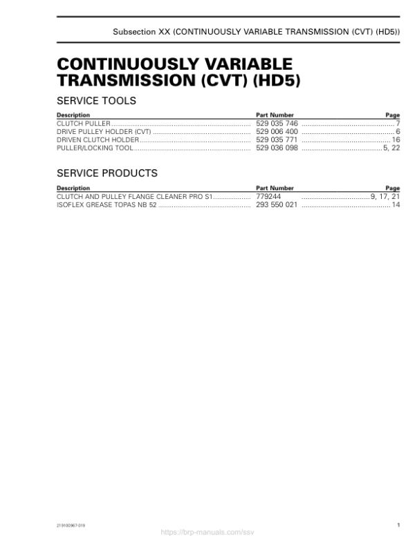 SSV 2019 Continuously Variable Transmission (CVT) (HD5) 219100967 019 Manual