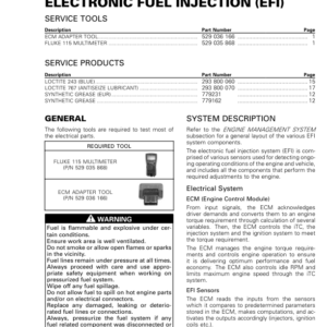 SSV 2020 Electronic Fuel Injection (EFI) Repair RTX20 1010HO 011 en Manual