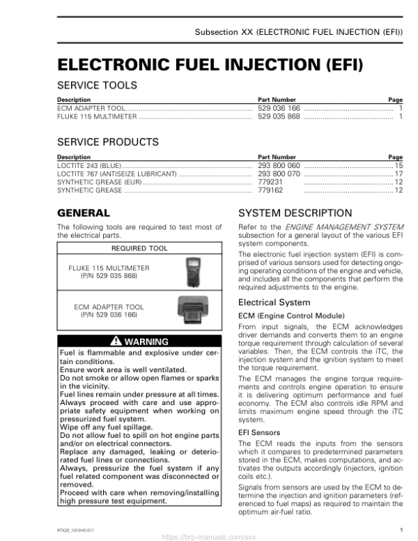 SSV 2020 Electronic Fuel Injection (EFI) Repair RTX20 1010HO 011 en Manual