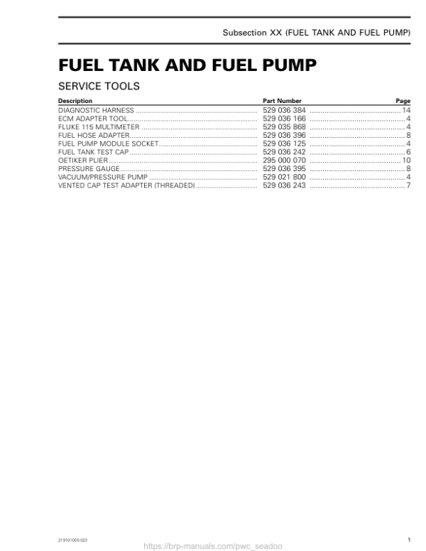 Fuel Tank and Fuel Pump 219101005 023 en Manual