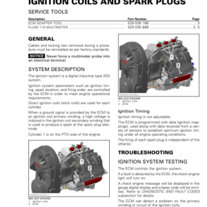 Rotax MY19 (M 2) Ignition coils and Spark plugs RTXM 2 MY19 012 en Manual