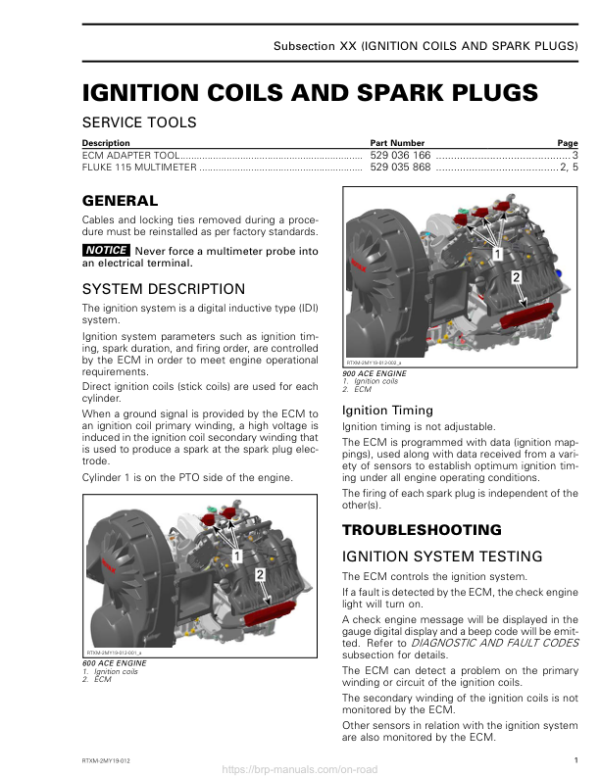 Rotax MY19 (M 2) Ignition coils and Spark plugs RTXM 2 MY19 012 en Manual