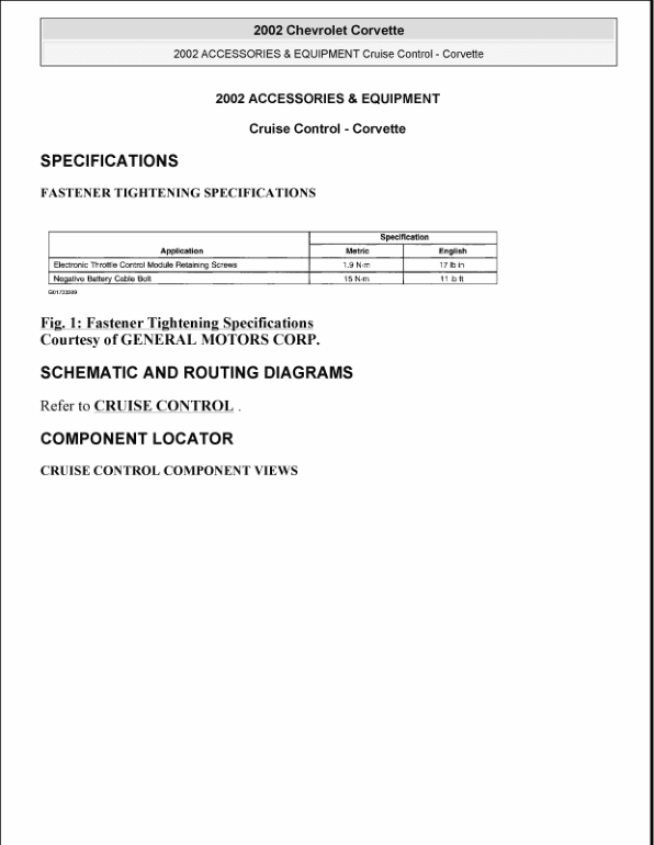 2002 CRUISE CONTROL Manual