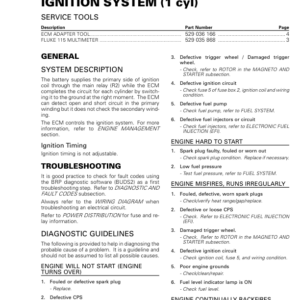 SSV Ignition System (1 cyl) (Defender) Shop supp. 219100901 020 Manual