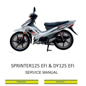 of EURO4 SPRINTER125 EFI DY125 EFI daytona pdf Manual