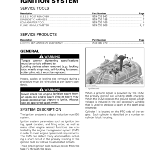 Ignition System (900 ACE) Manual