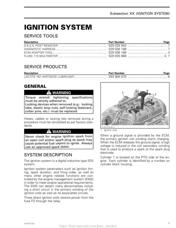 Ignition System (900 ACE) Manual