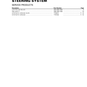 Steering System (RXP Series) Manual