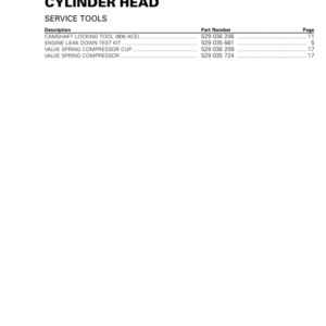 SSV 2020 Cylinder Head Repair RTX20 900SSV 006 en Manual