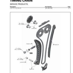 Timing Chain Manual