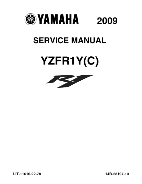 2009  Manual