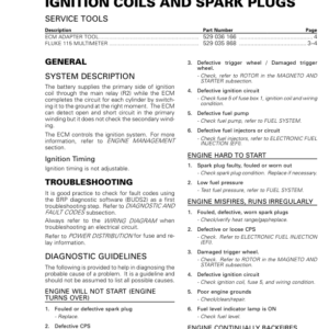 Rotax 2017 (HD5) Ignition Coil and Spark Plug RHD5MY17 012 Manual