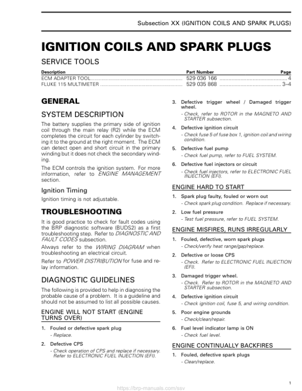 Rotax 2017 (HD5) Ignition Coil and Spark Plug RHD5MY17 012 Manual