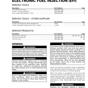 ELECTRONIC FUEL INJECTION (EFI) Manual