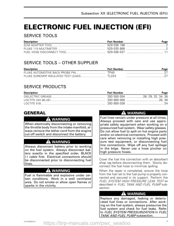 ELECTRONIC FUEL INJECTION (EFI) Manual