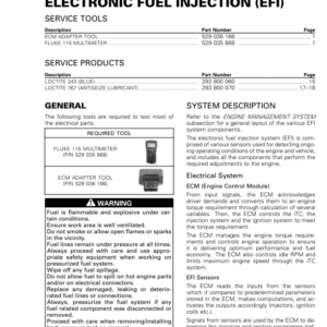 Rotax MY19 (1010RS SSV) Electronic Fuel Injection (EFI) RTX19 1010RS 013 en Manual