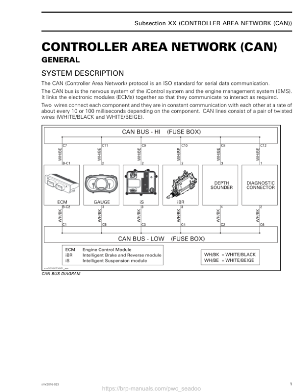 Controller Area Network (CAN) (GTX, RXP, RXT Series WAKE PRO) Manual