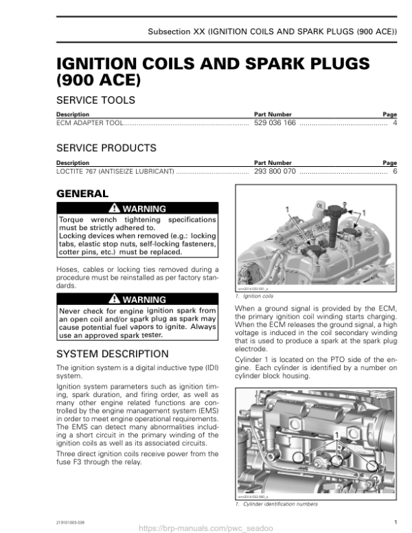 Ignition Coils and Spark Plugs (900 ACE) 219101005 039 en Manual