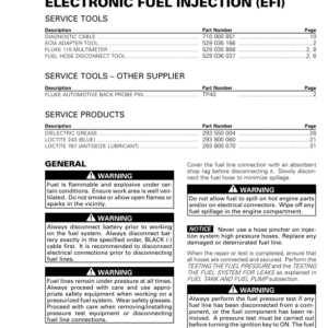 Roadster 2018 Electronic Fuel Injection (EFI) (RT) Shop 219100891 011 Manual