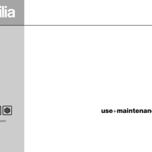 Aprilia rs125 1998 Manual