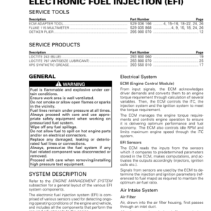 SSV Electronic Fuel Injection (Maverick) shop tmr2016 213 Manual