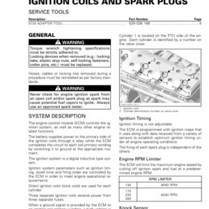 Ignition Coils and Spark Plugs (1603) Manual