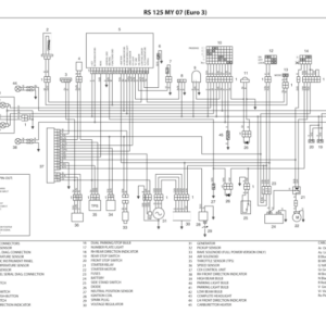 RS 125 Wiring Diagram Manual